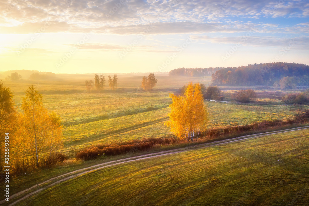 Autumn nature drone view. Aerial shot of colorful landscape in october with yellow trees in rural countryside