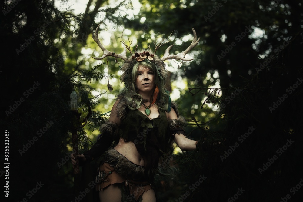 Spirit of the forest inside the woods Spirit of the forest inside the woods
