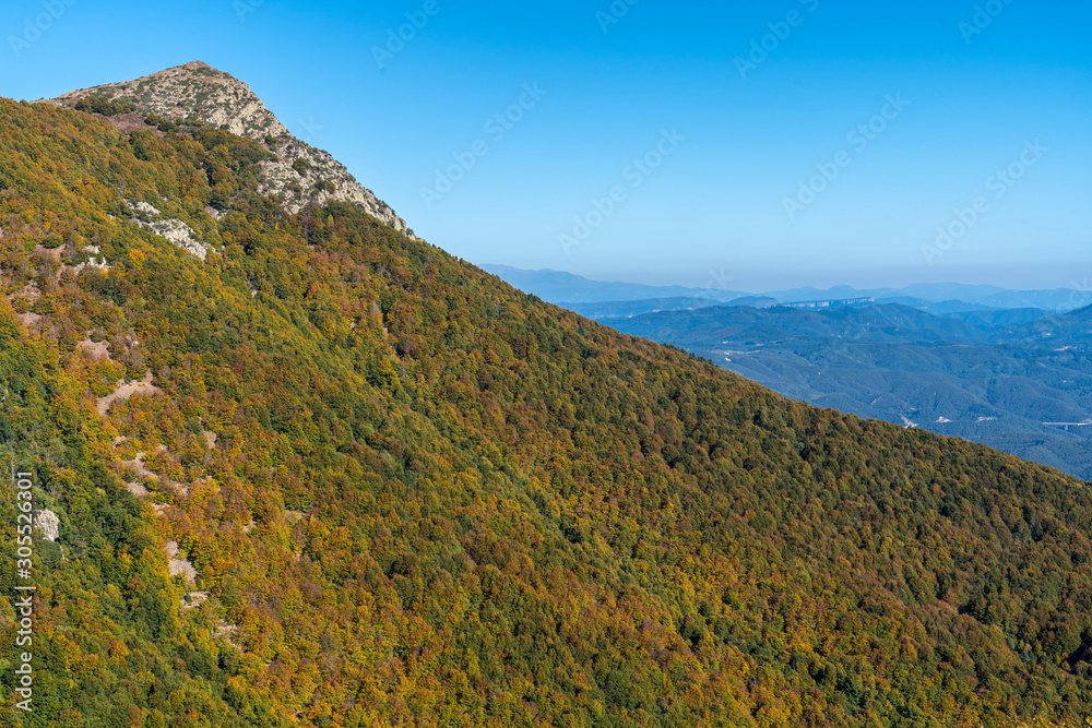 Views of Natural park of Montseny in autumn.
