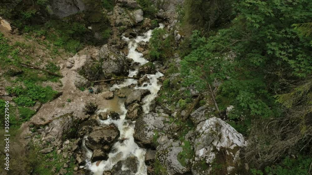 mountain creek flowing through the pine forest into the entrance of Cetatile Ponorului karst cave, Padis plateau, Apuseni mountains, Romania mountain creek flowing through the pine forest into the entrance of Cetatile Ponorului karst cave, Padis plateau, Apuseni mountains, Romania