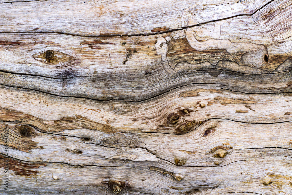 Wood surface Wood surface
