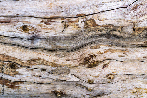Wood surface 