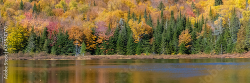 A lake in the forest in Canada  during the Indian summer  beautiful colors of the trees