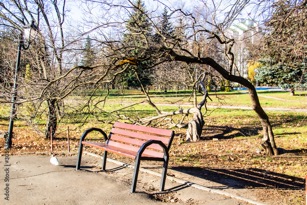 Naklejka premium Bench in the park. Ukraine. Park in the city of Sumy. Nature in the fall.
