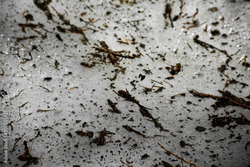 Ice surface with mud and pieces of plants, soft focus
