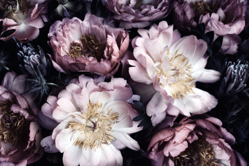 Vintage bouquet of beautiful peonies on black. Floral background. Baroque old fashiones style. Natural flowers pattern wallpaper or greeting card