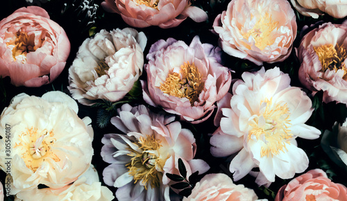 Fototapeta Naklejka Na Ścianę i Meble -  Vintage bouquet of beautiful peonies on black. Floral background. Baroque old fashiones style. Natural flowers pattern wallpaper or greeting card