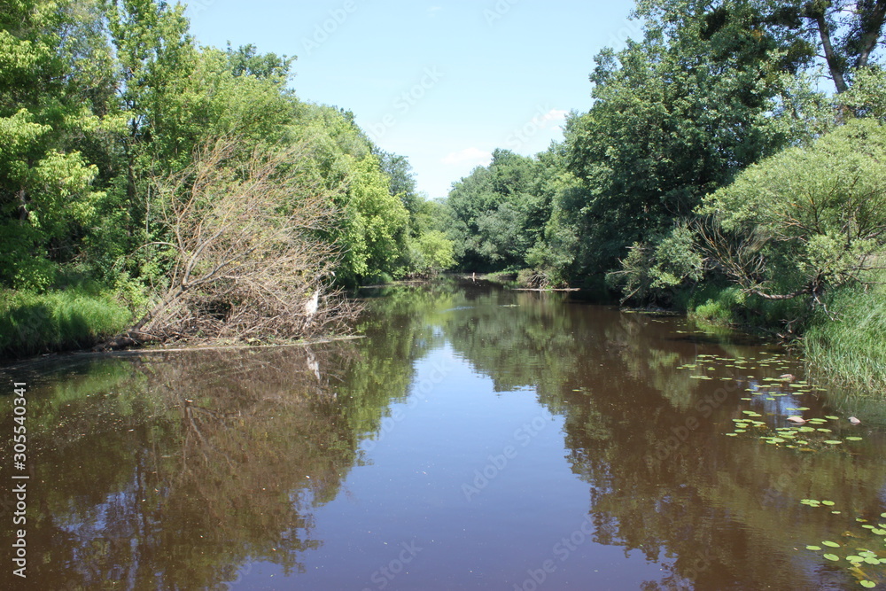 River in the forest of the green Polesie River in the forest of the green Polesie