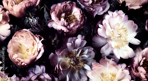 Fototapeta Naklejka Na Ścianę i Meble -  Vintage bouquet of beautiful peonies on black. Floral background. Baroque old fashiones style. Natural flowers pattern wallpaper or greeting card
