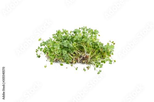 broccoli sprouts heap isolated on white background. nutrition. bio. natural food ingredient.