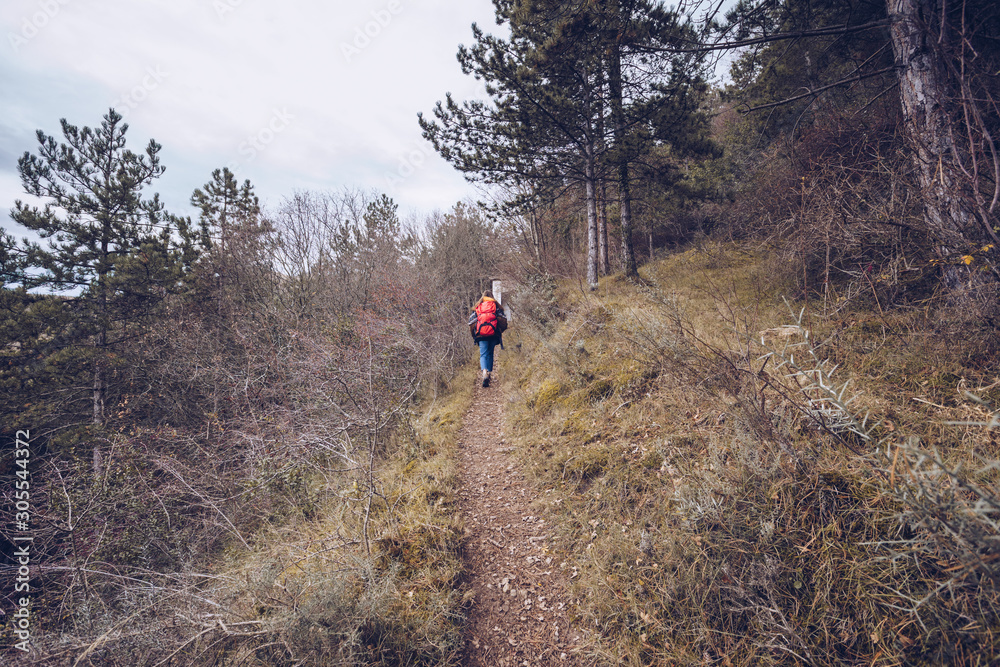 From behind person with bright backpack in warm clothes walking along road with dried leaves by bare trees on cloudy day From behind person with bright backpack in warm clothes walking along road with dried leaves by bare trees on cloudy day
