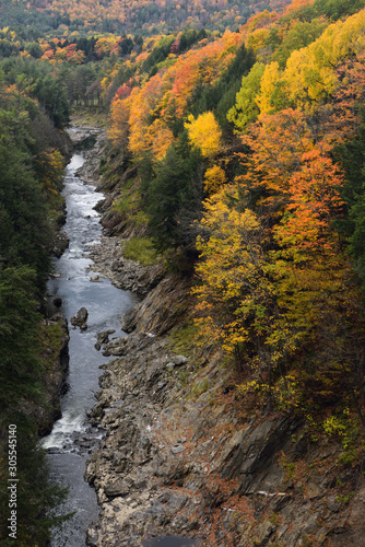 Fototapeta Bright Fall foliage on the Ottauquechee river at the deep Quechee Gorge Vermont