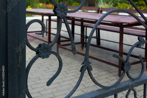 Fragment of wrought iron fence ornament.