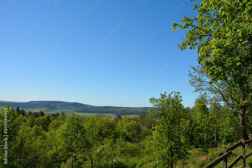 Green landscape from above, in the Rhön, Germany, with tree and fence