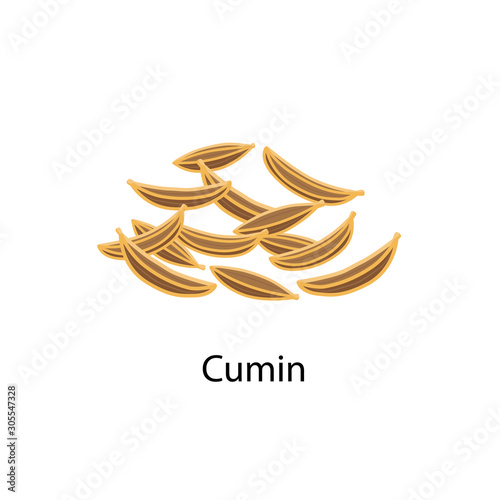 Cumin seeds spice vector illustration in flat design isolated on white background.
