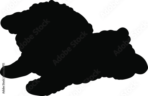 Toy Poodle puppy jumping silhouette