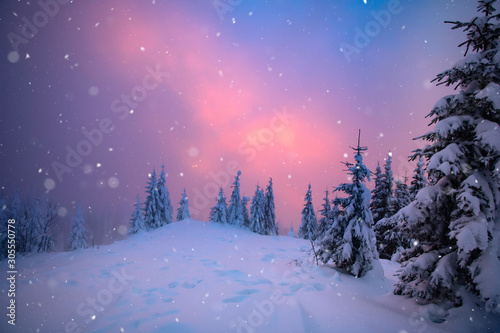 Christmas background with snowy fir trees. © erika8213