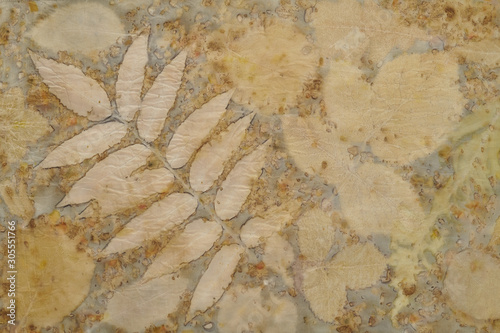 Fragment of hand-dyed fabric using eco-print technique