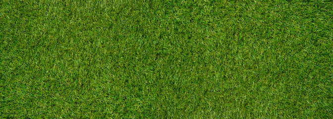 Green wall and green background of artificial grass designed for outdoor sports.