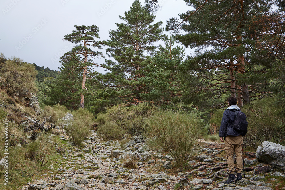 Obraz premium senderismo