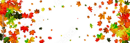 Autumn landscape. Season pattern isolated on white background. Thanksgiving concept