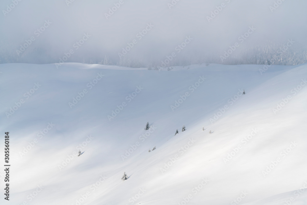 Alpine landscape in winter time.