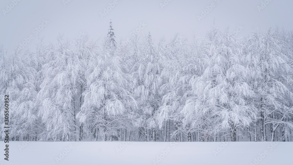 A beautiful scene of winter in the Carpathian Mountains A beautiful scene of winter in the Carpathian Mountains