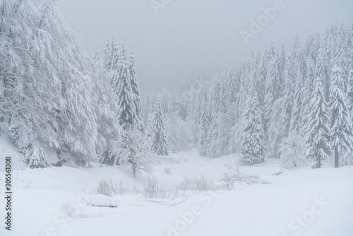 A beautiful scene of winter in the Carpathian Mountains © Daniel M