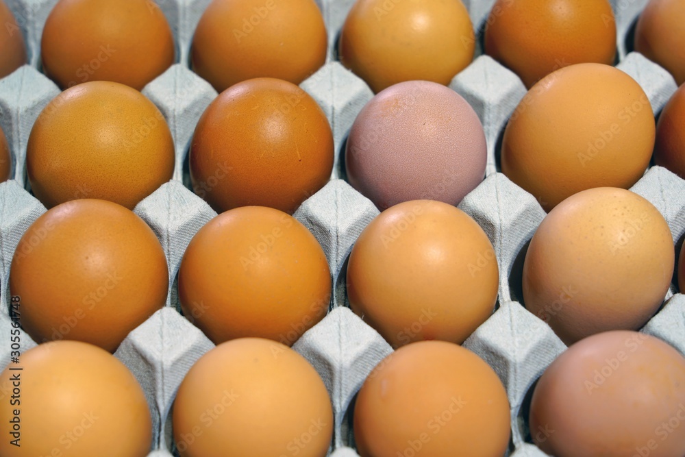 Cartons of fresh free-range brown organic eggs Cartons of fresh free-range brown organic eggs