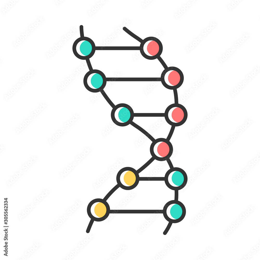 DNA helix color icon. Z-DNA. Connected dots, lines. Deoxyribonucleic, nucleic acid structure. Spiral strands. Chromosome. Molecular biology. Genetic code. Genetics. Isolated vector illustration DNA helix color icon. Z-DNA. Connected dots, lines. Deoxyribonucleic, nucleic acid structure. Spiral strands. Chromosome. Molecular biology. Genetic code. Genetics. Isolated vector illustration