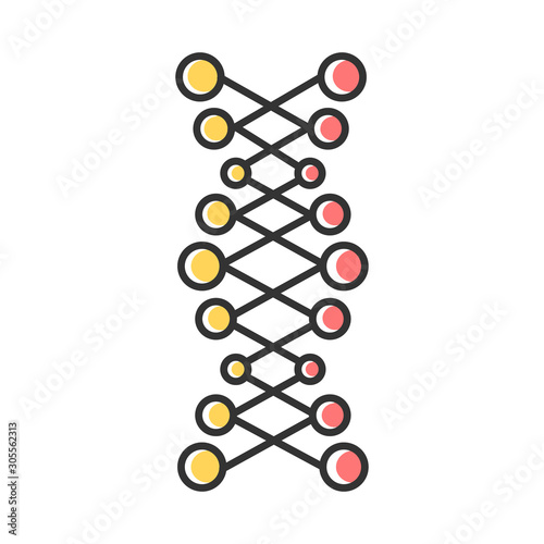DNA double helix color icon. Connected dots, lines. Deoxyribonucleic, nucleic acid structure. Spiral strands. Chromosome. Molecular biology. Genetic code. Genetics. Isolated vector illustration