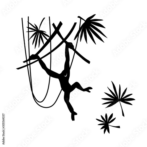 black silhouette of Gibbon jumping on lianas and palm branches in jungle, vector ink illustration isolated on white background in hand drawn style