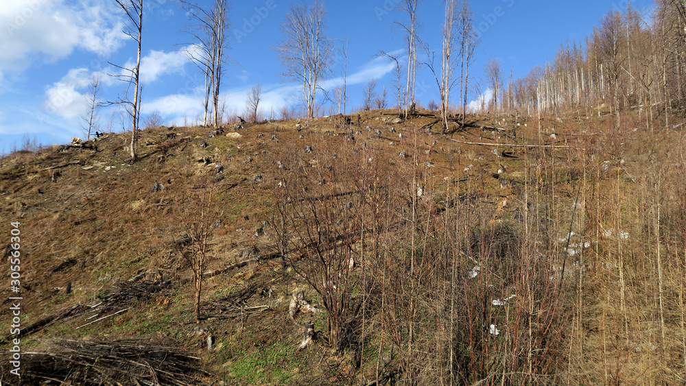 wonderful snowy mountain landscape in early spring wonderful snowy mountain landscape in early spring