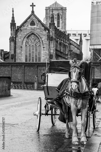 Photography Horse drawn carriage tours of Dublin city, Ireland