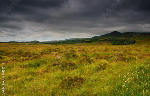 field in autumn, scotland