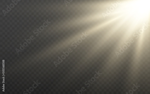 Sun light on transparent backdrop. Sunlight effect with glowing rays. Bright yellow beams and lens flare. Sunshine template. White shining sunbeams. Vector illustration
