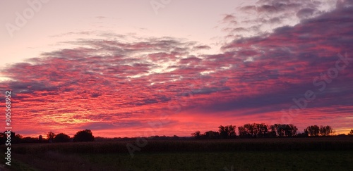 sunset over field