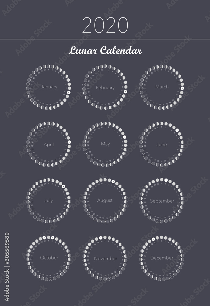 2020 moon phases calendar spiral astronomy vector chart