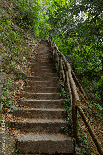 Concrete stairs with wooden railing in the middle of a deep forest in Greece