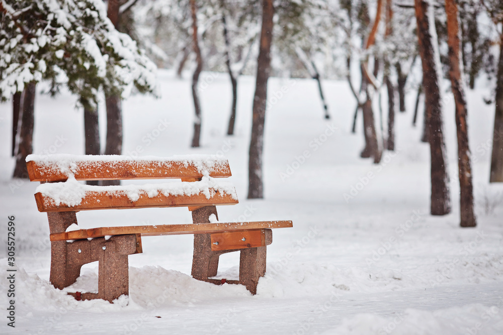 snow covered bench in a park