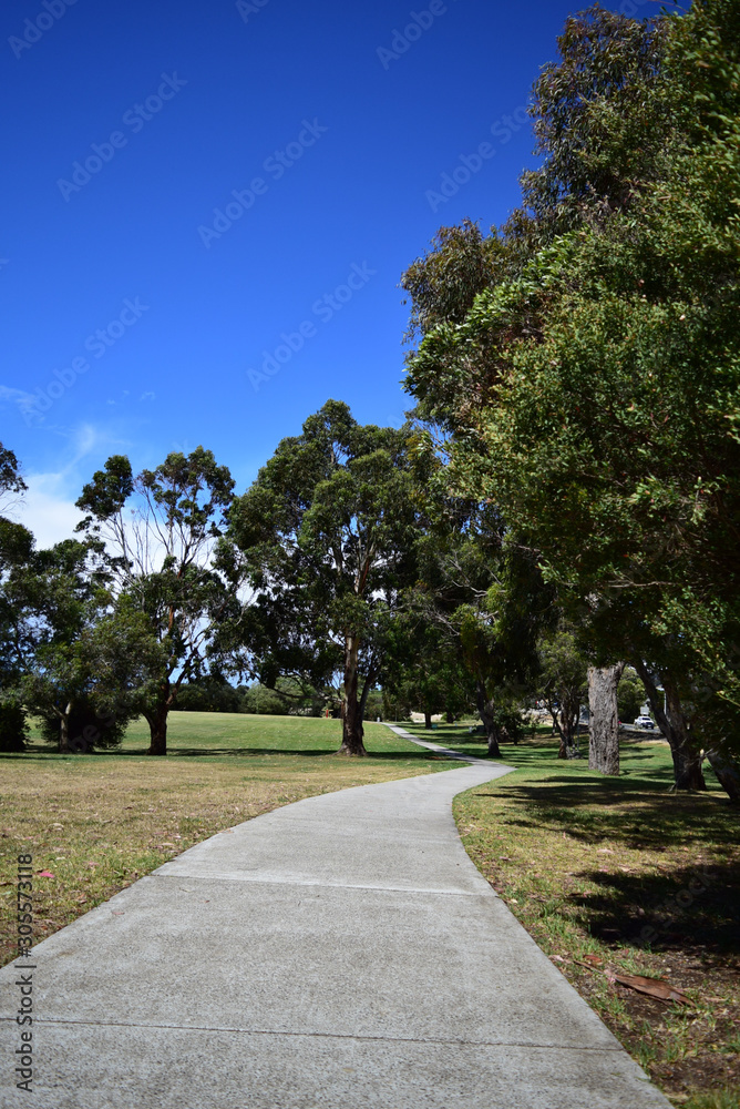 Concrete path in park with lawn either side Concrete path in park with lawn either side