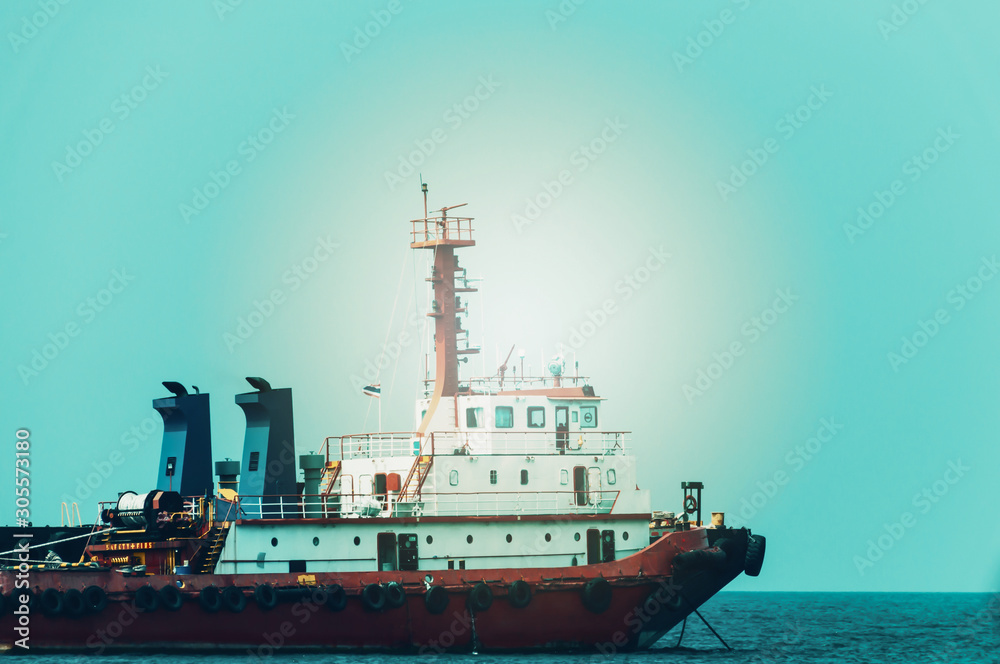 Fototapeta premium cargo ship in the sea
