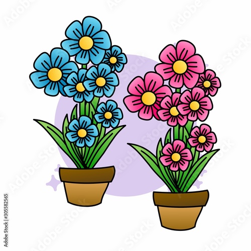 Illustration of Beautiful Pink and Blue Flower  Flat Design