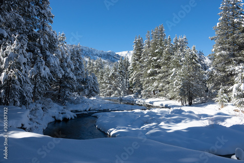 Winter Snow Along the Upper Truckee River