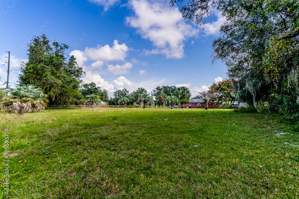 Large vacant lot with lots of trees