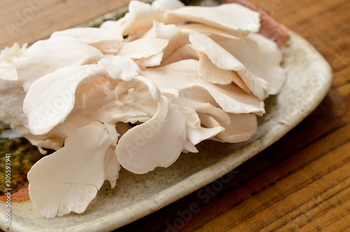 白まいたけ photo