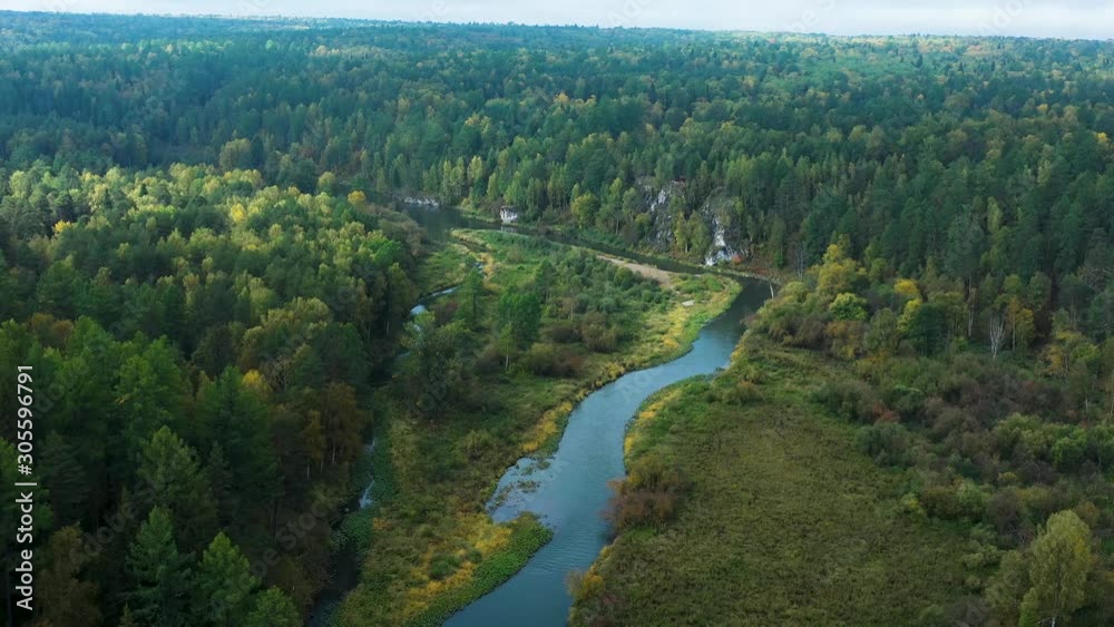 Aerial view of the river in the forest