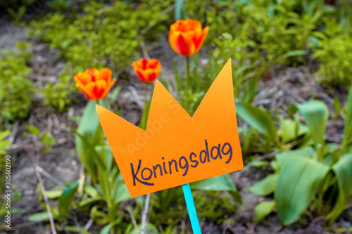 Koningsdag or King's Day is a national holiday in the Kingdom of the Netherlands.. Paper cut crown with an inscription koningsdag hold with hands against the background of flowers