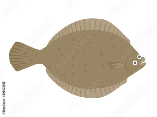 カレイのイラスト