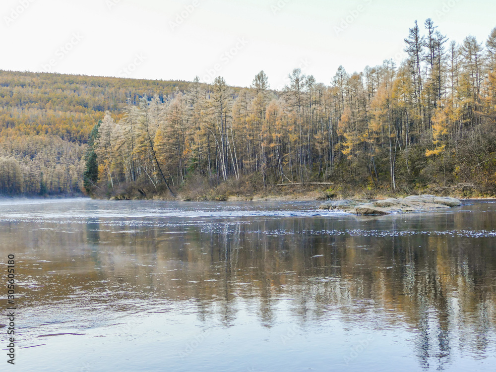trees and frost on the river Bank in autumn trees and frost on the river Bank in autumn